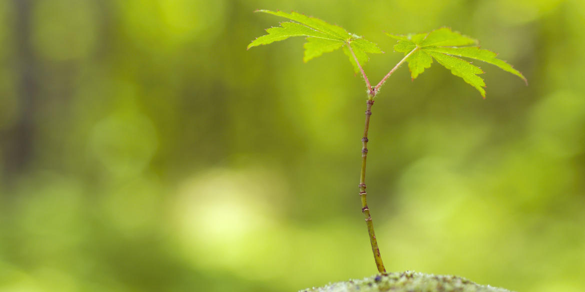 トップイメージ画像1