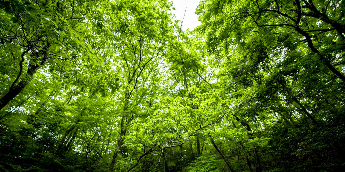 トップイメージ画像2