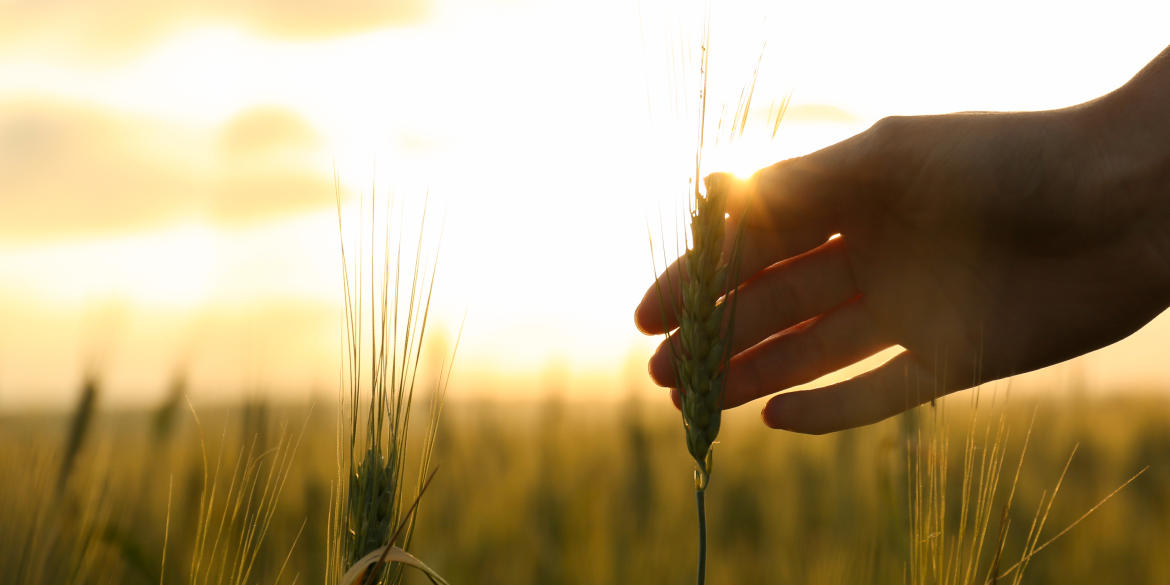 トップイメージ画像3