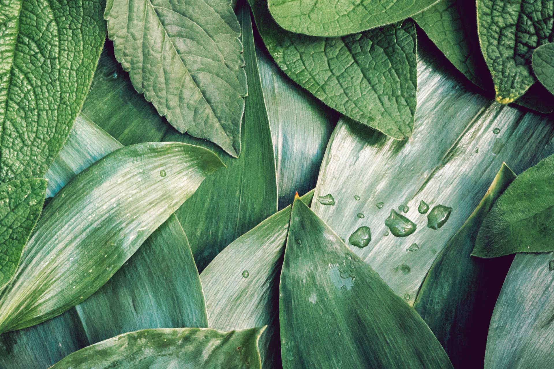 会社概要イメージ画像