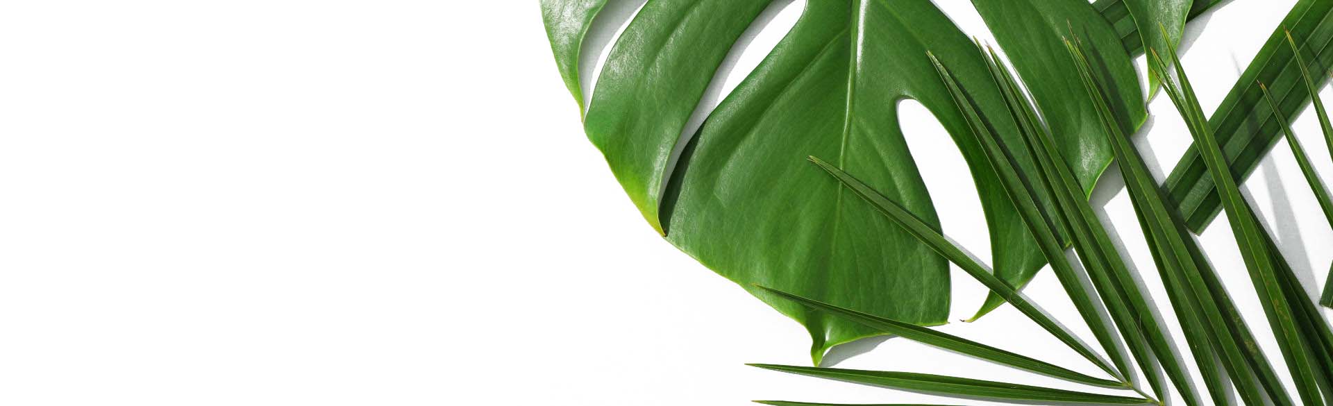 新着情報イメージ画像